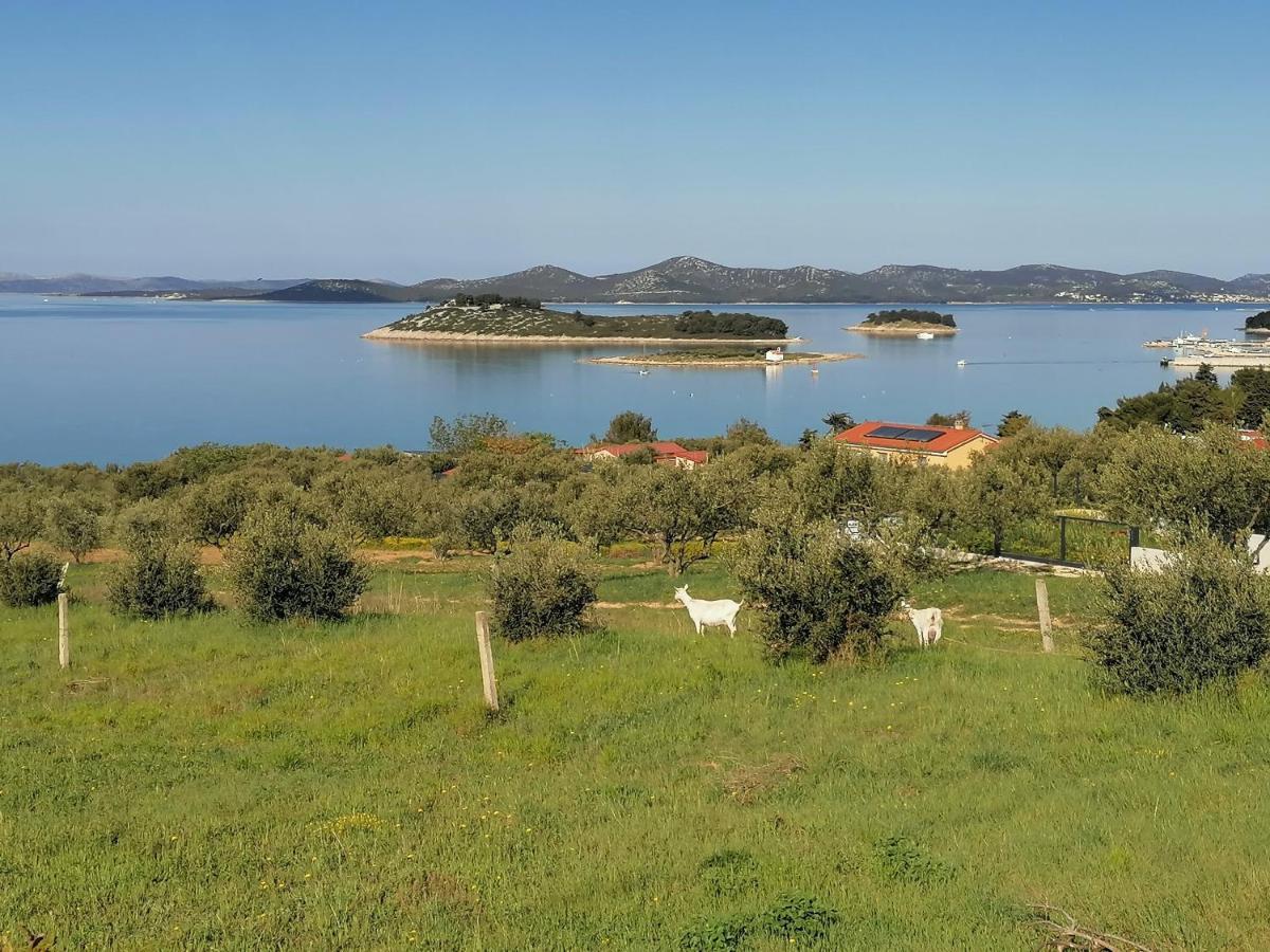 Studio Punta Pakoštane Exterior foto